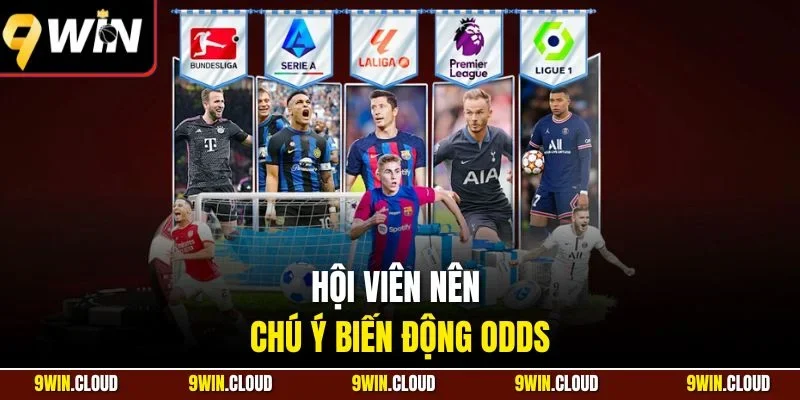 Hội viên nên chú ý biến động Odds