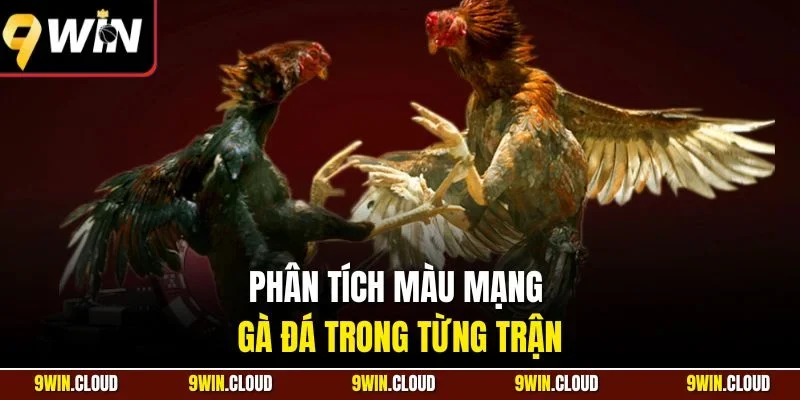 Phân tích màu mạng gà đá trong từng trận